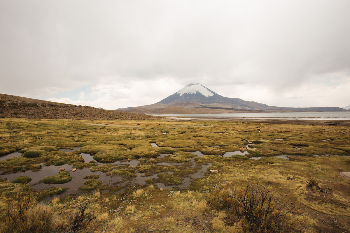 Silversea Cruises - South America Air Offer Silversea Cruises - South America Air Offer